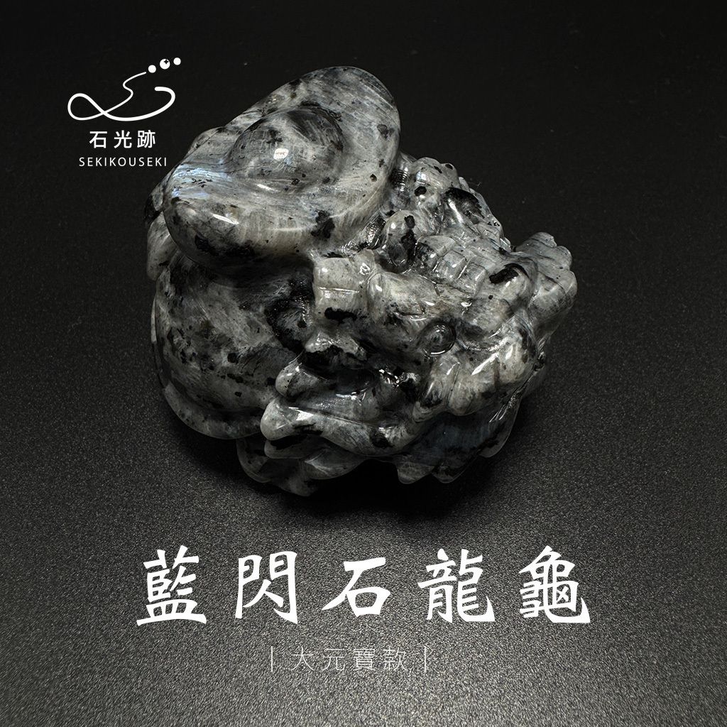 藍閃石龍龜_8
