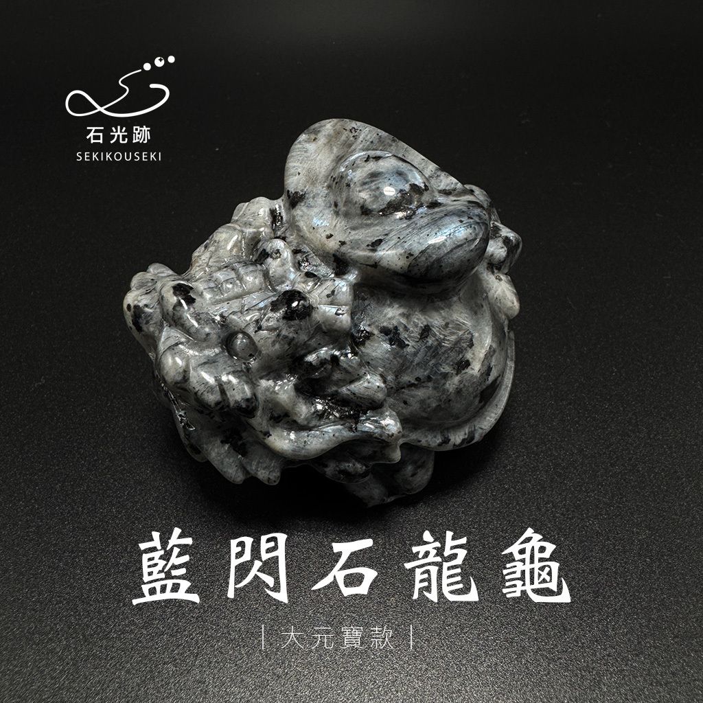 藍閃石龍龜_9