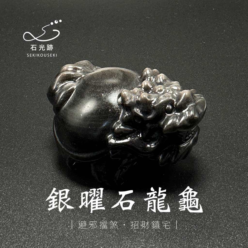 銀曜石龍龜