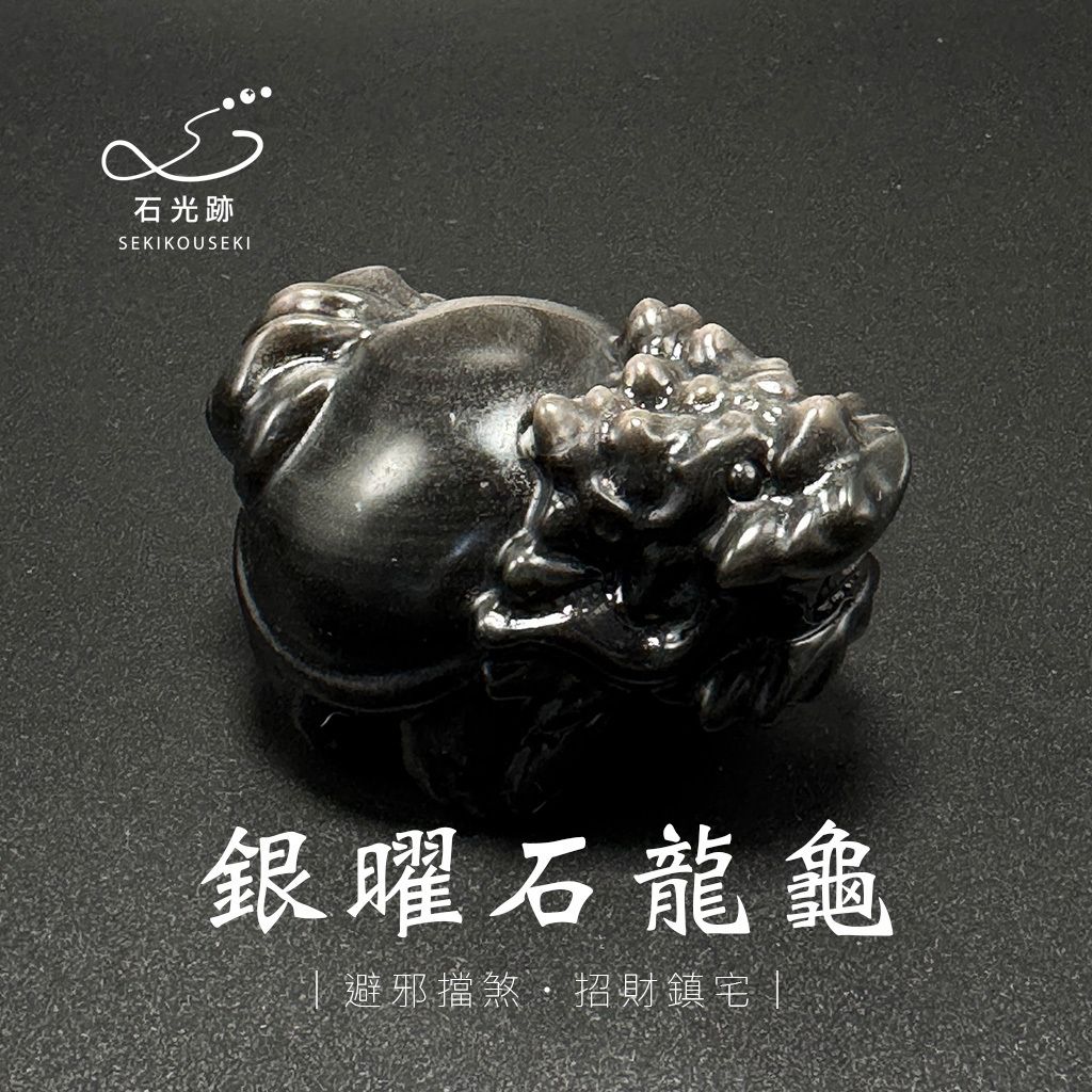 銀曜石龍龜_3