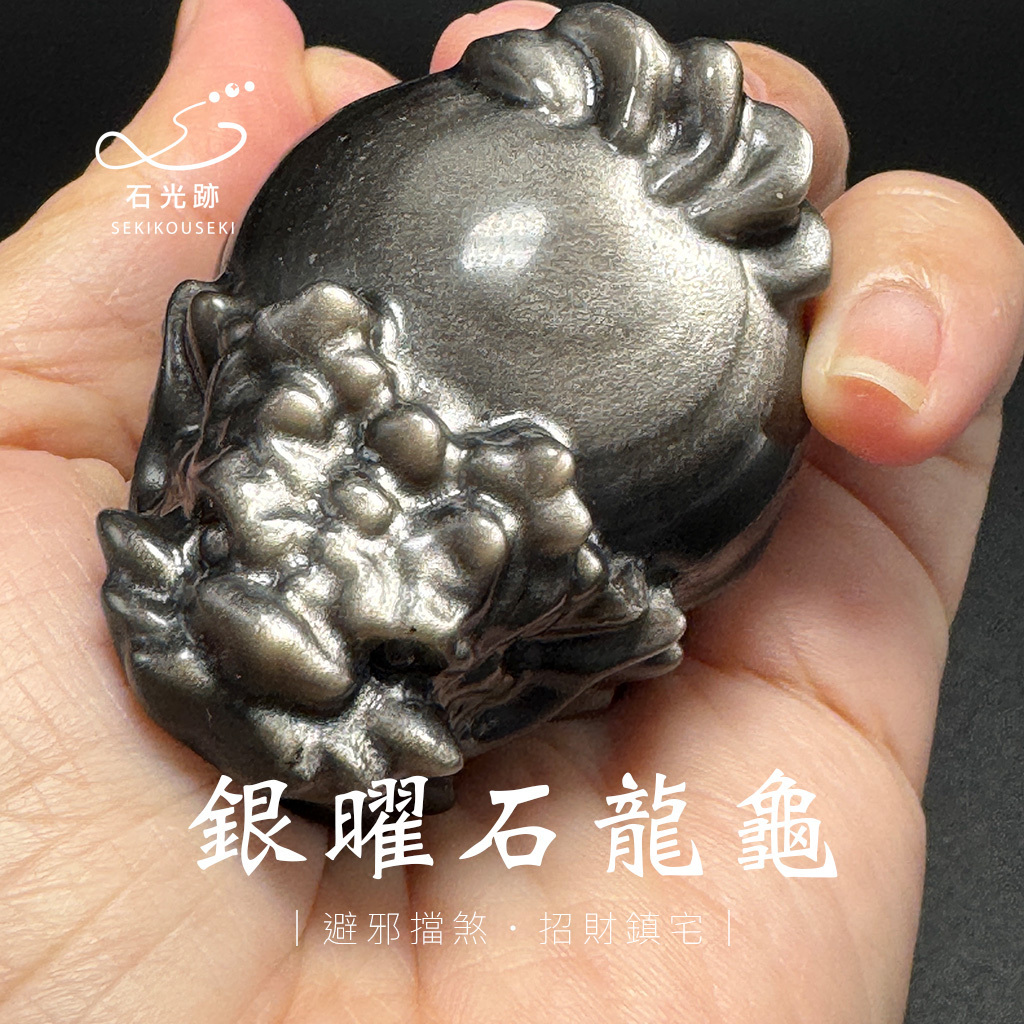銀曜石龍龜