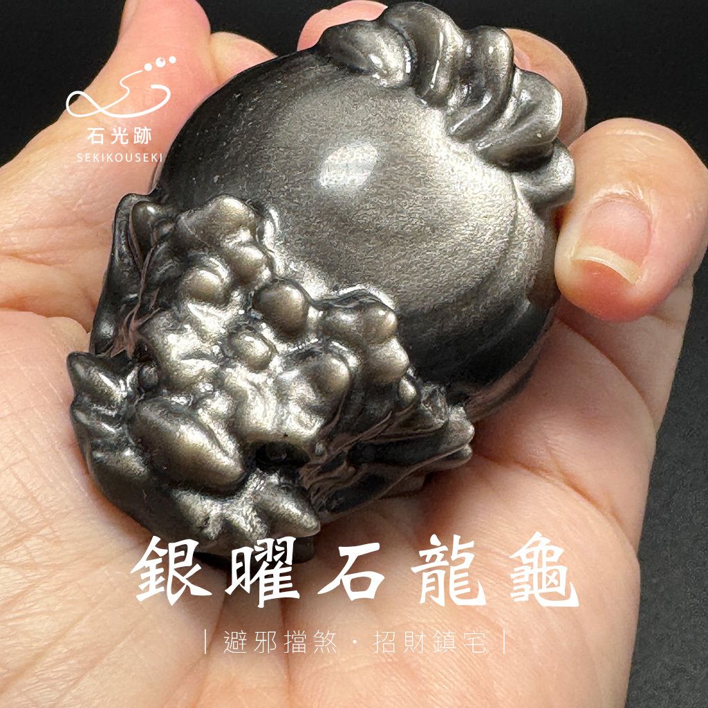 銀曜石龍龜_5