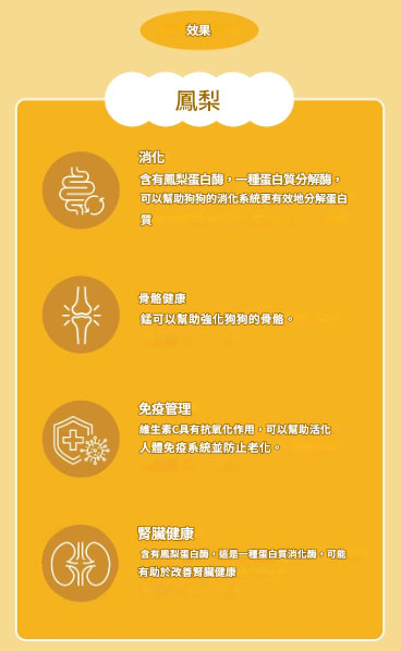螢幕擷取畫面 2025-07-24 012254 (1)