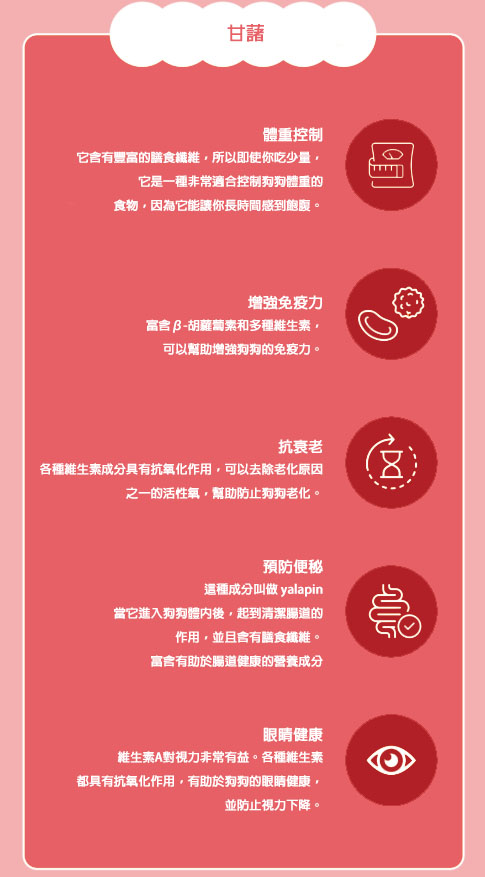螢幕擷取畫面 2025-07-25 165844