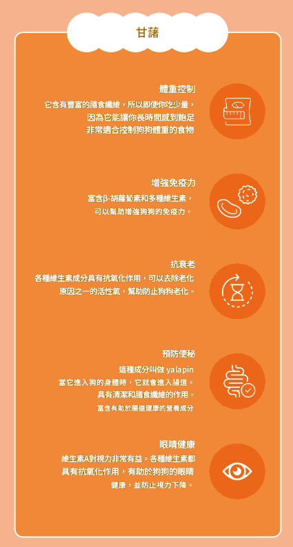 螢幕擷取畫面 2025-07-25 172109