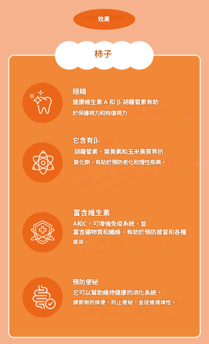 螢幕擷取畫面 2025-07-25 172055