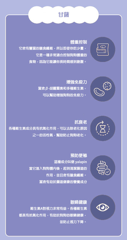 螢幕擷取畫面 2025-07-25 173731