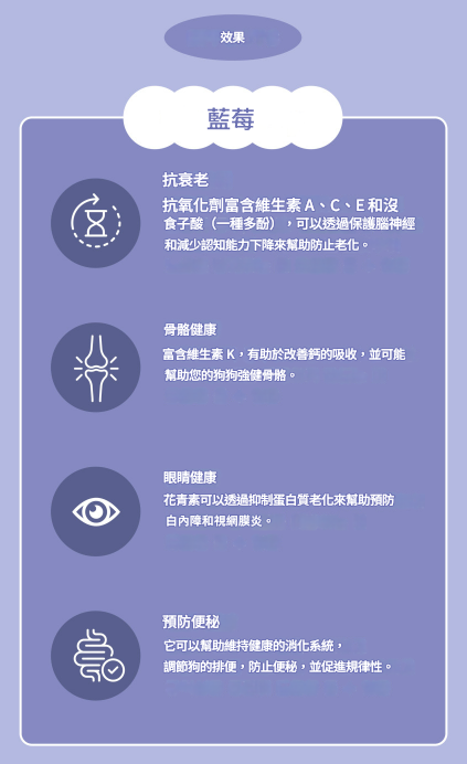 螢幕擷取畫面 2025-07-25 173721