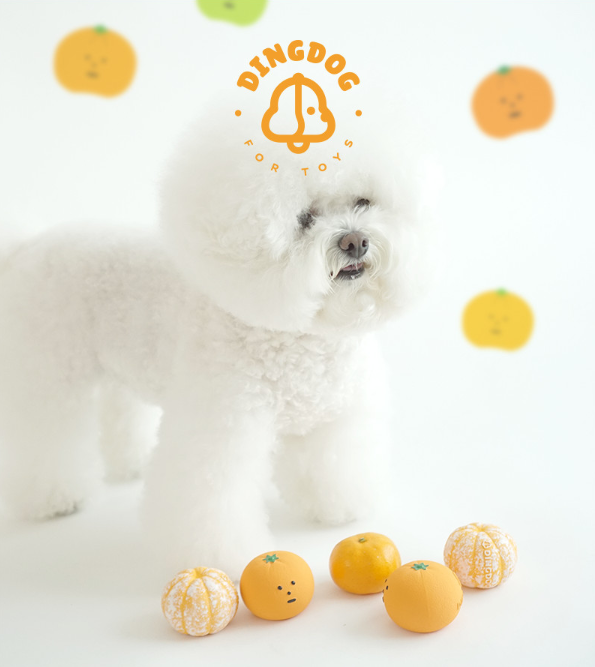 螢幕擷取畫面 2025-08-18 011237