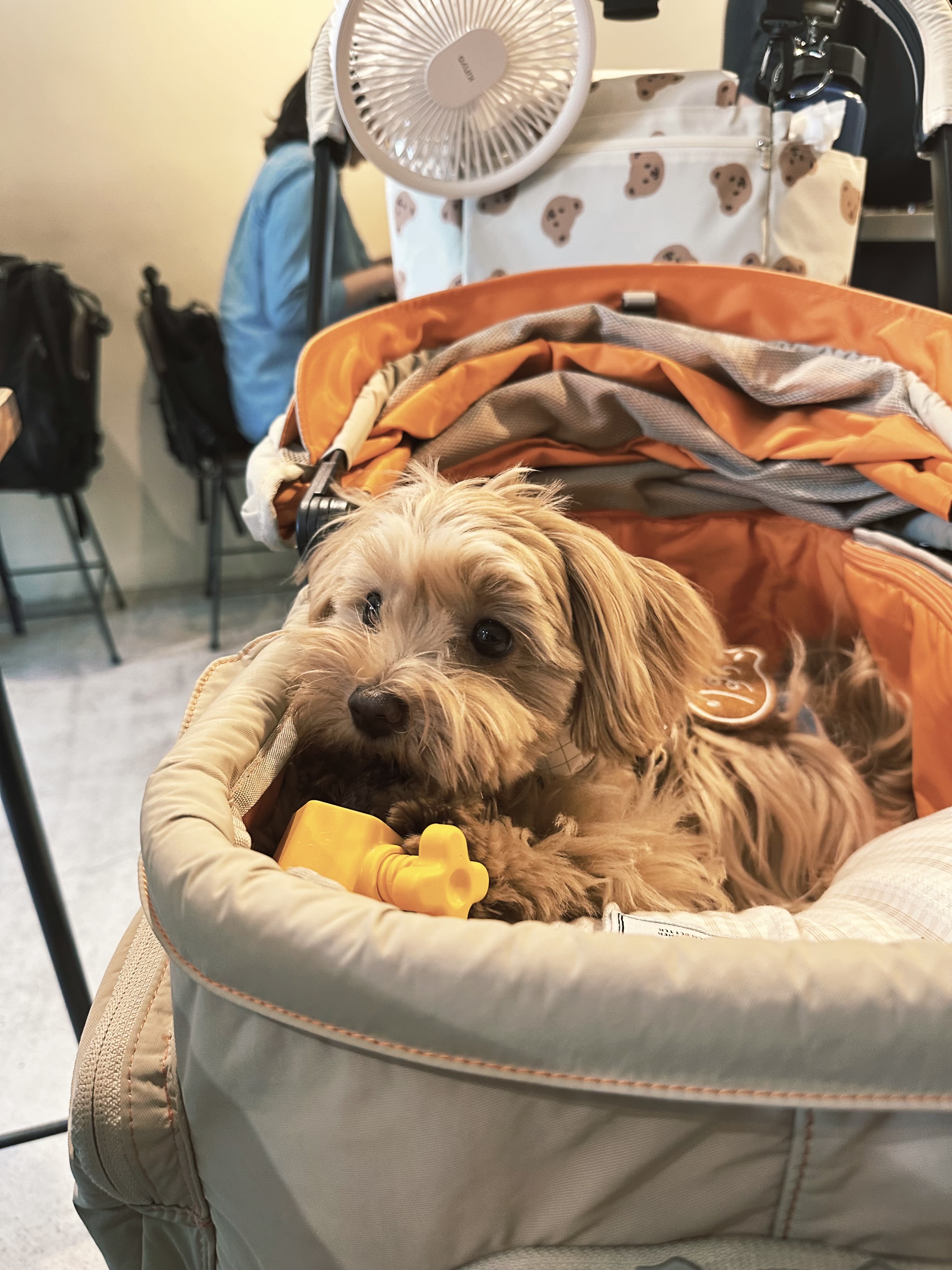 9EA378F4-6002-443B-893B-4CBE0443A0A5