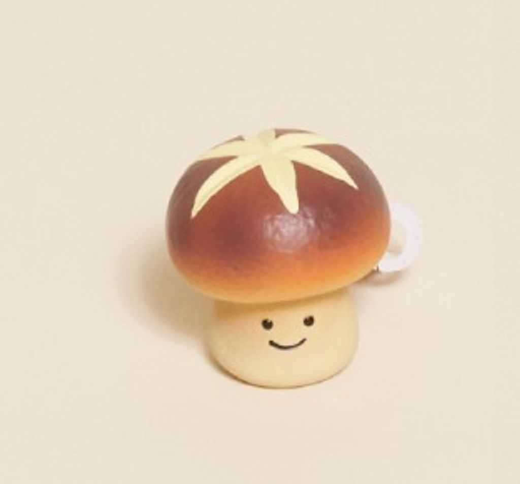 螢幕擷取畫面 2025-07-19 100453