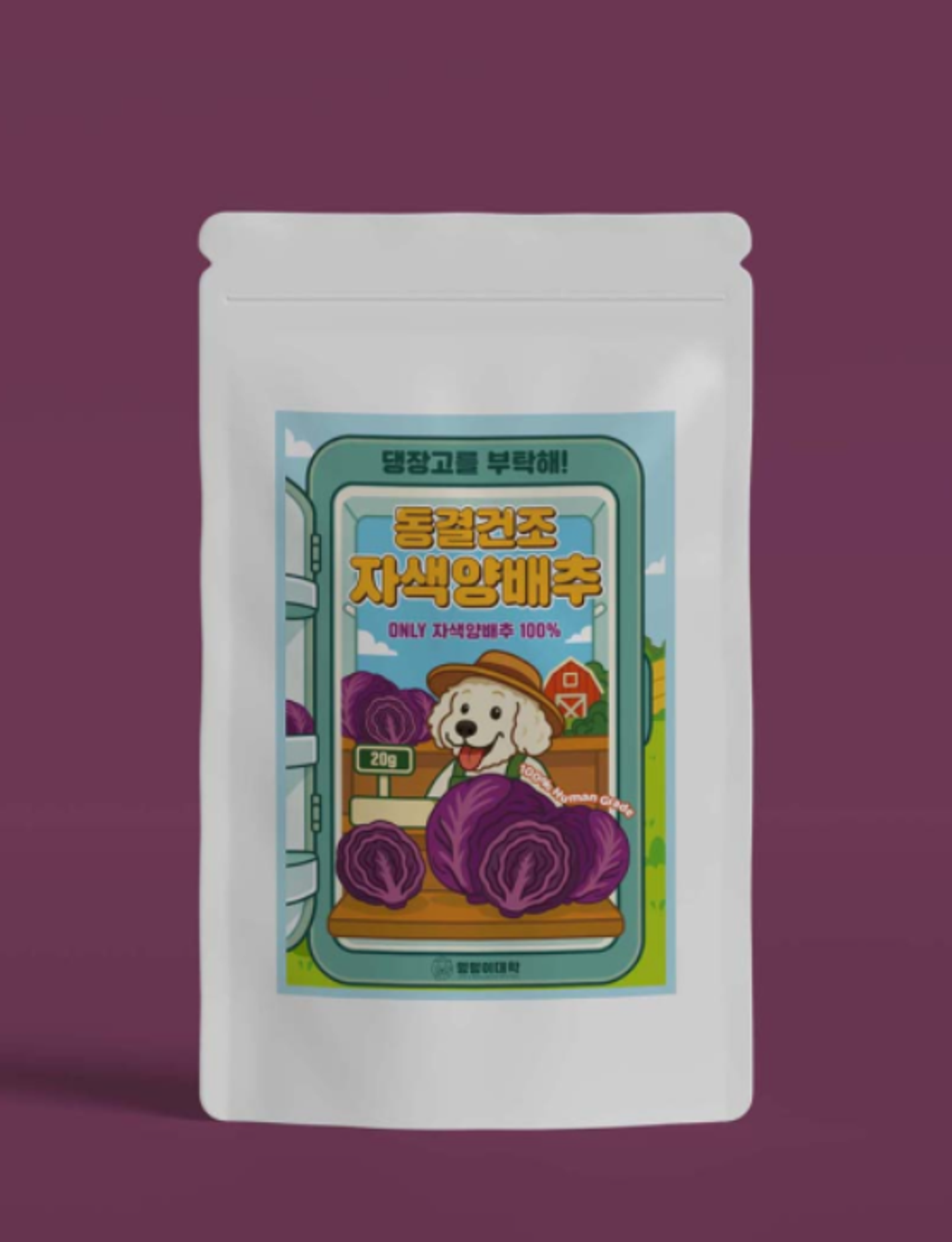 螢幕擷取畫面 2025-07-29 113726