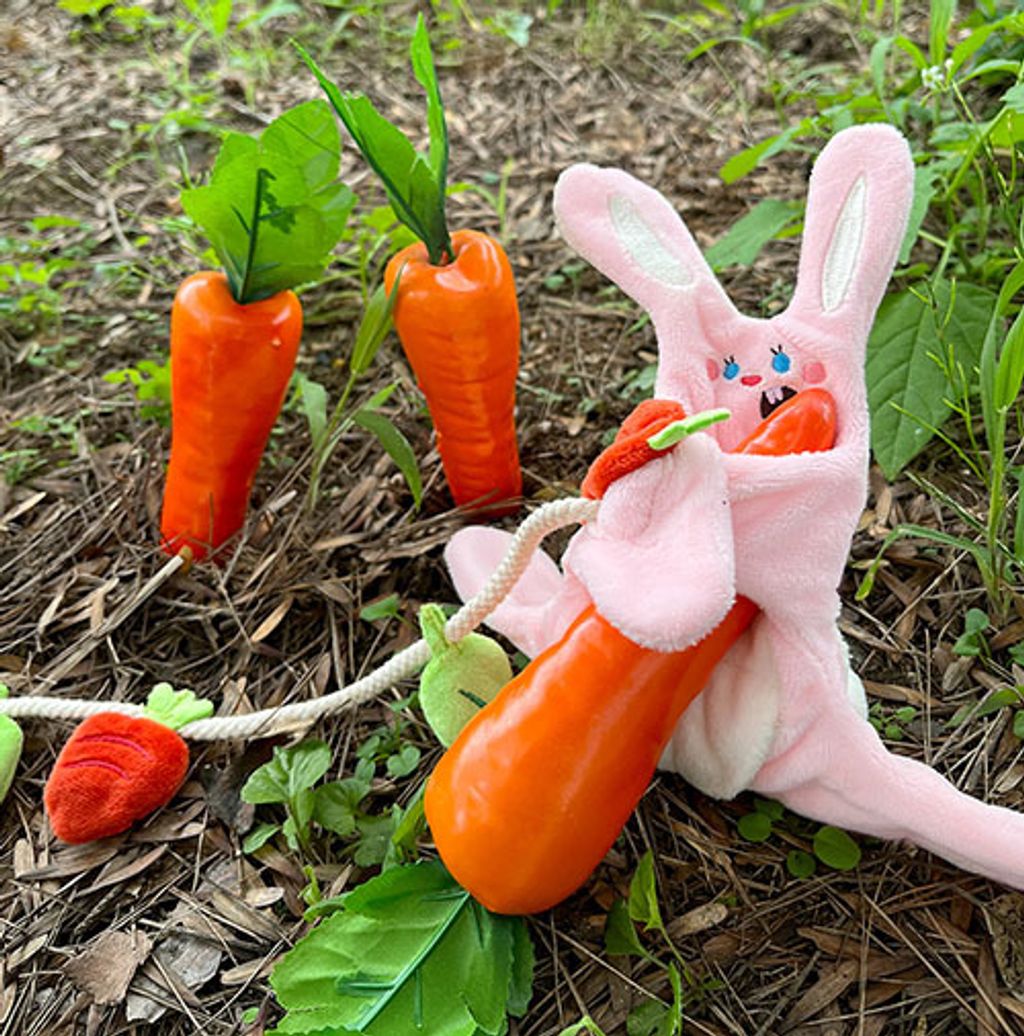 1000000105_magnify_447