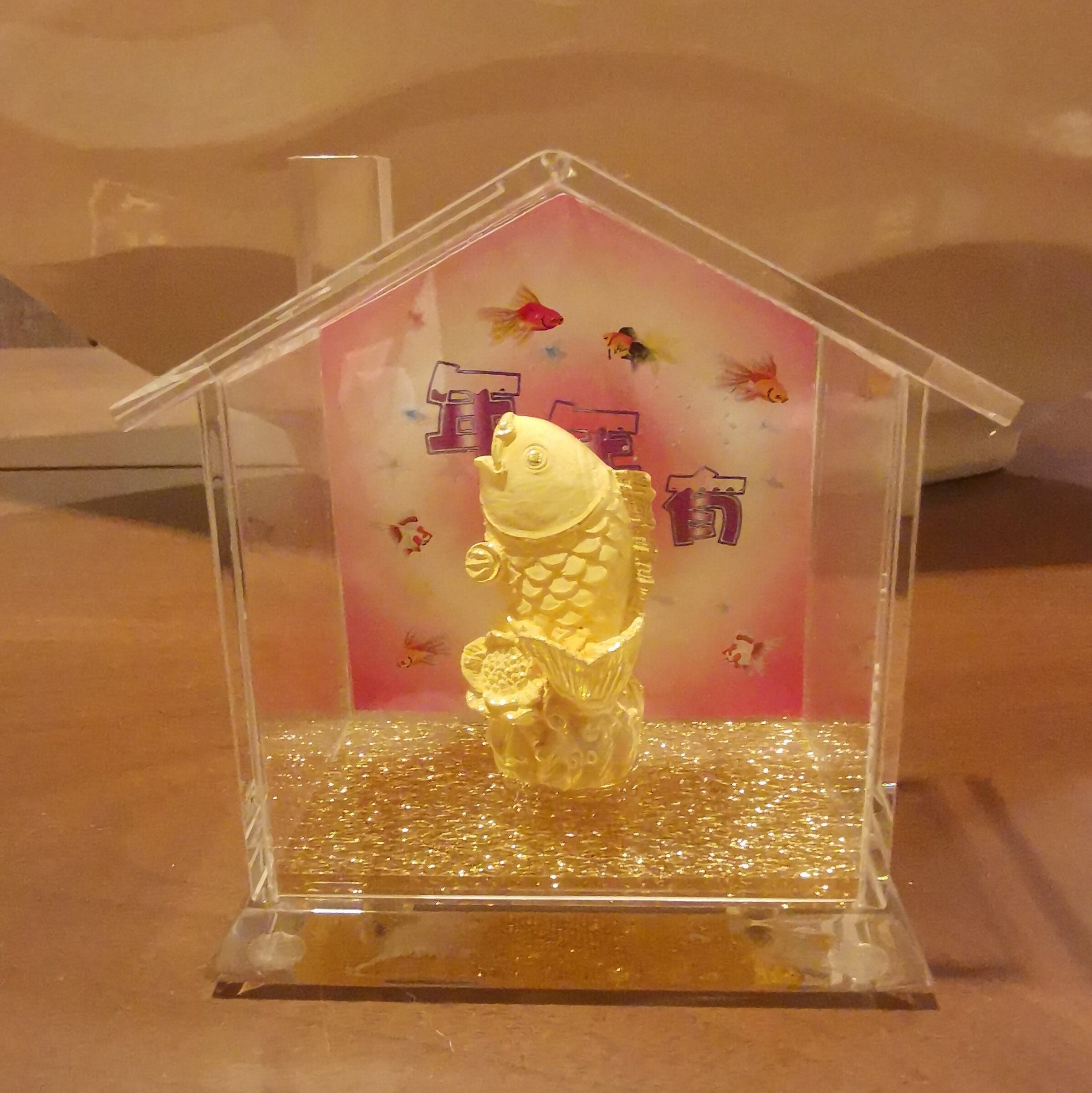 processed_IMG_20250701_014528_edit_240038301314412