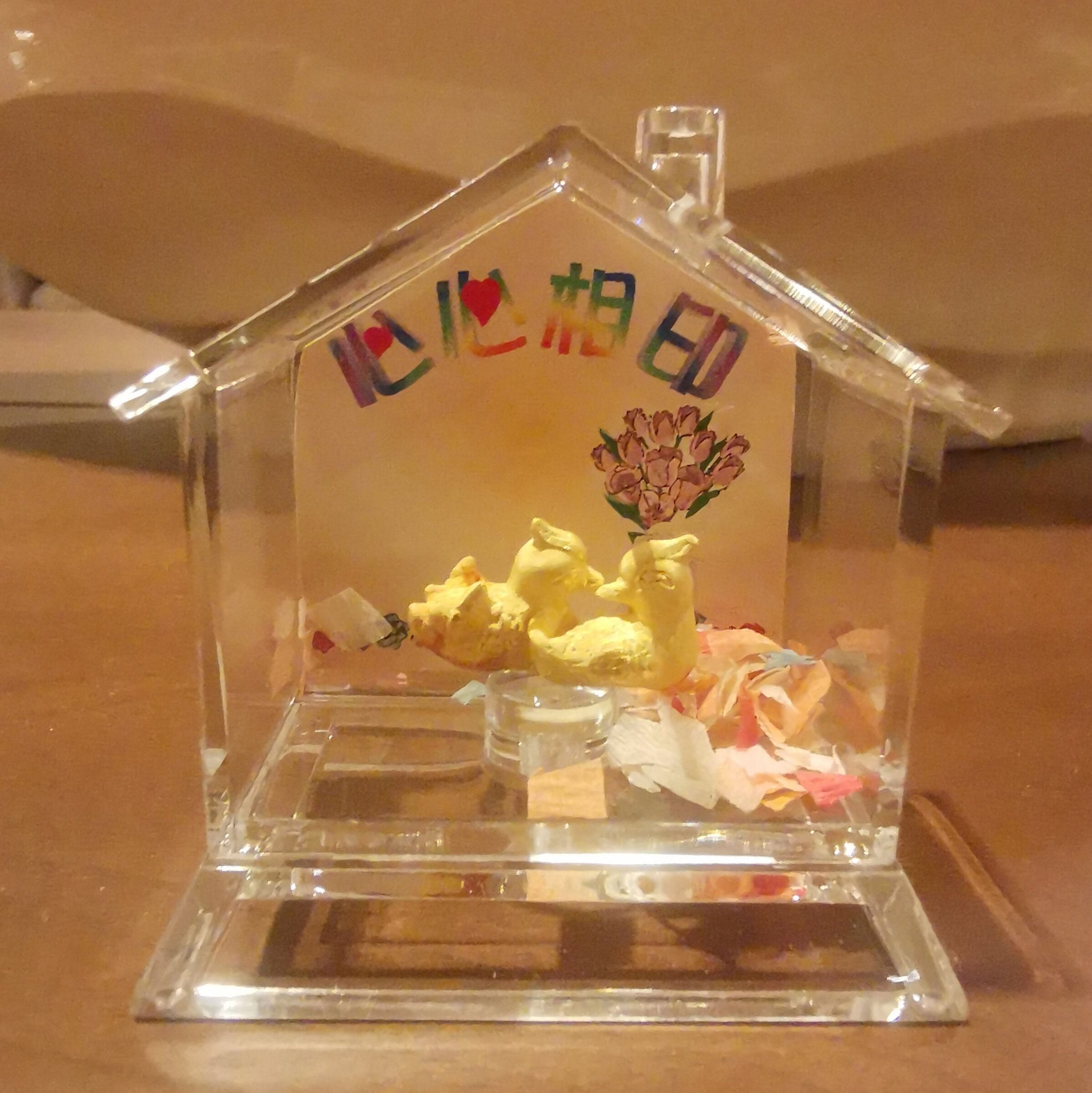 processed_IMG_20250701_014347_edit_239925881405575