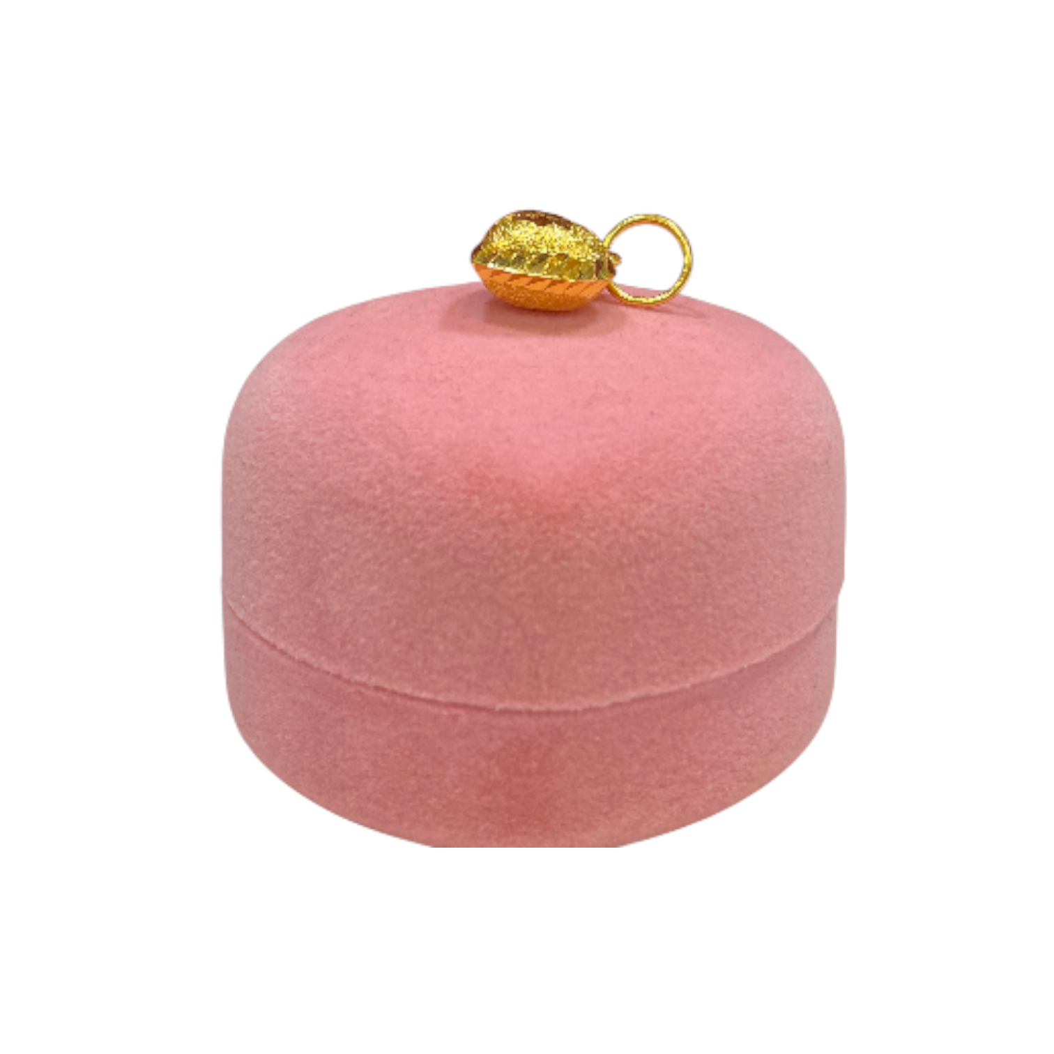 Photoroom-20251211_185132