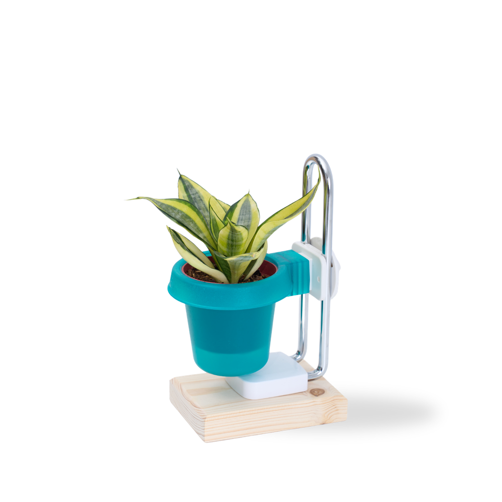 DYL_產品照片_三寸盆栽架_藍_1500x1500