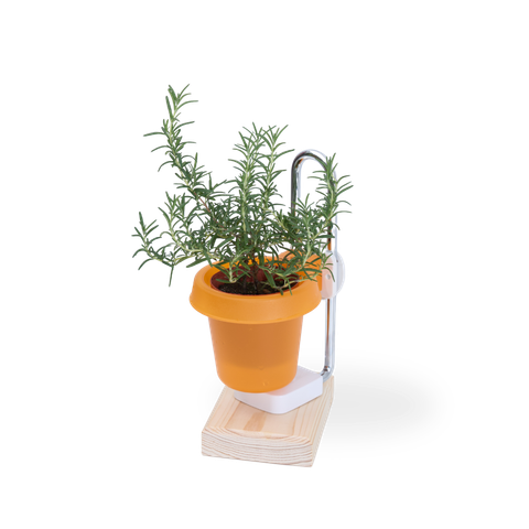 DYL_產品照片_三寸盆栽架_橘_1500x1500