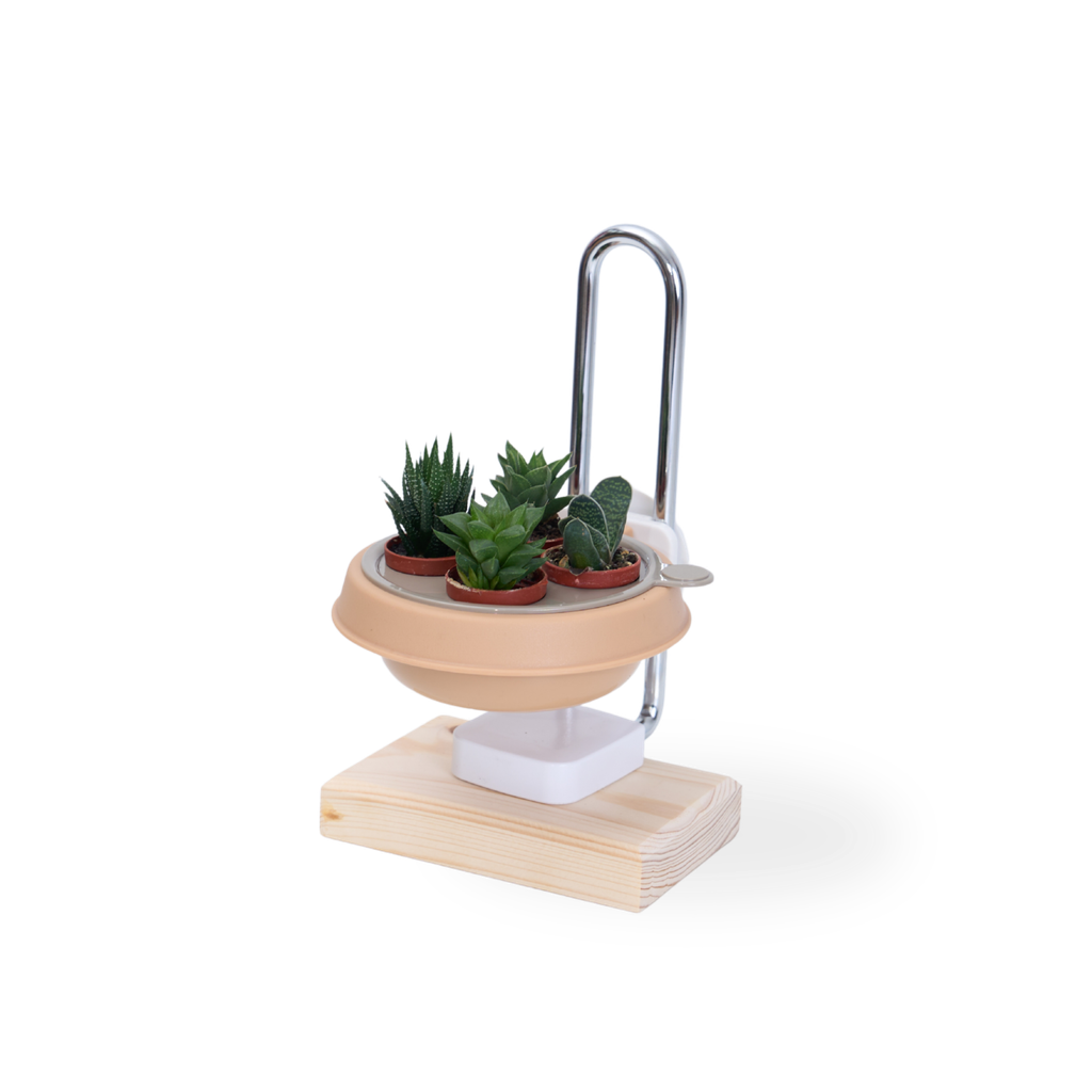 白_多肉植物架 Hanging Planter Succulent Insert Bowl Set