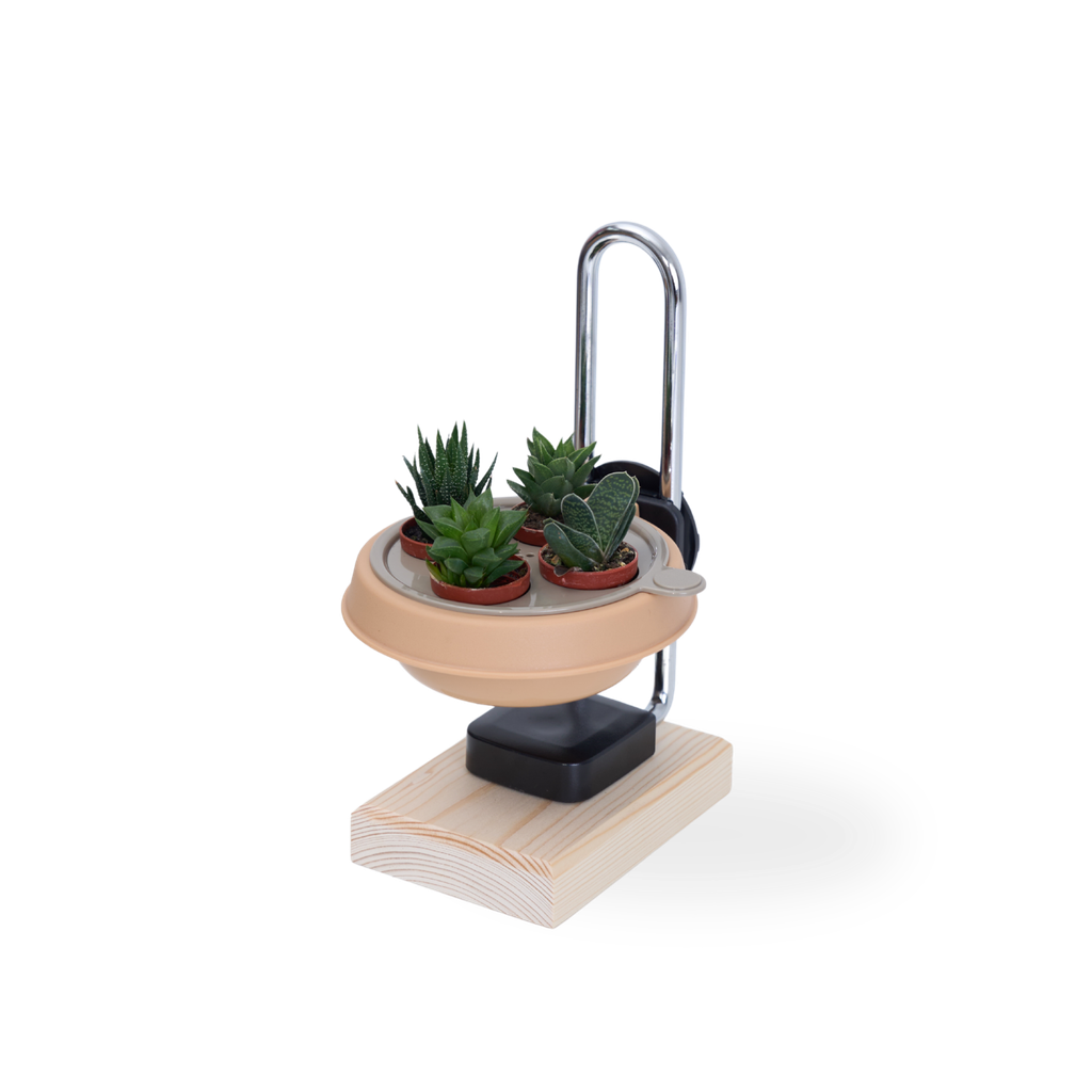 灰_多肉植物架 Hanging Planter Succulent Insert Bowl Set