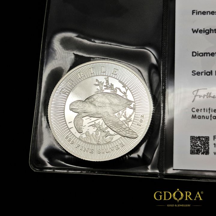 Silver_Turtle_1