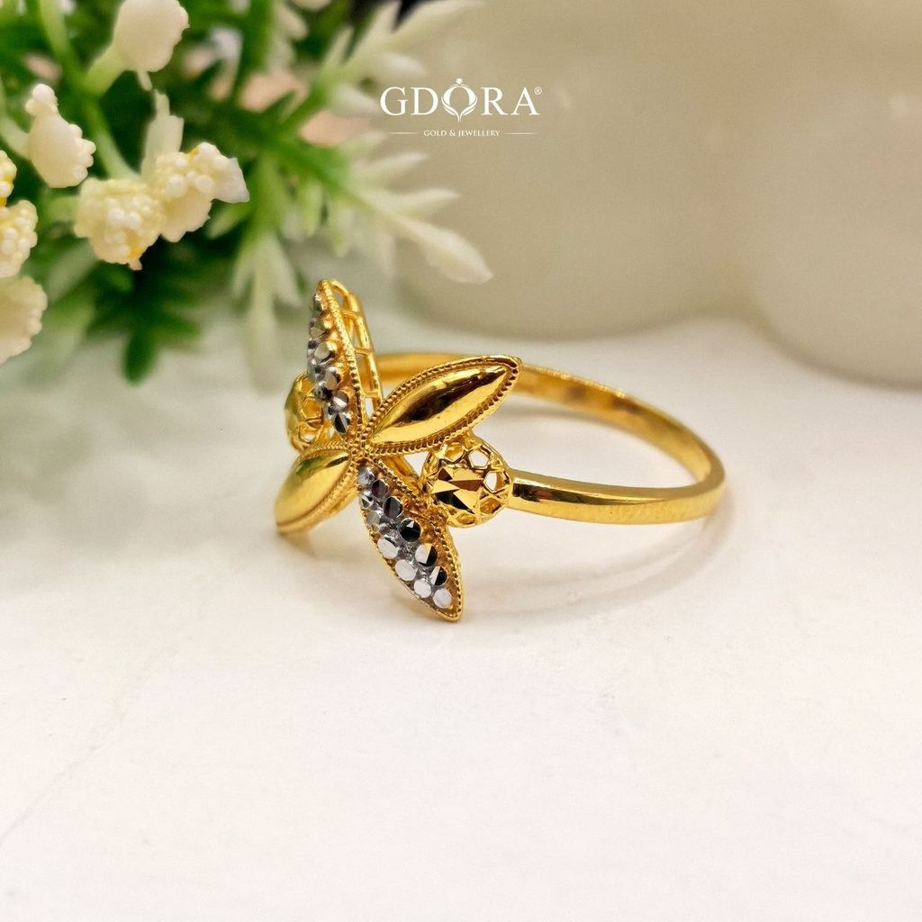 photo_6246968531639536929_y