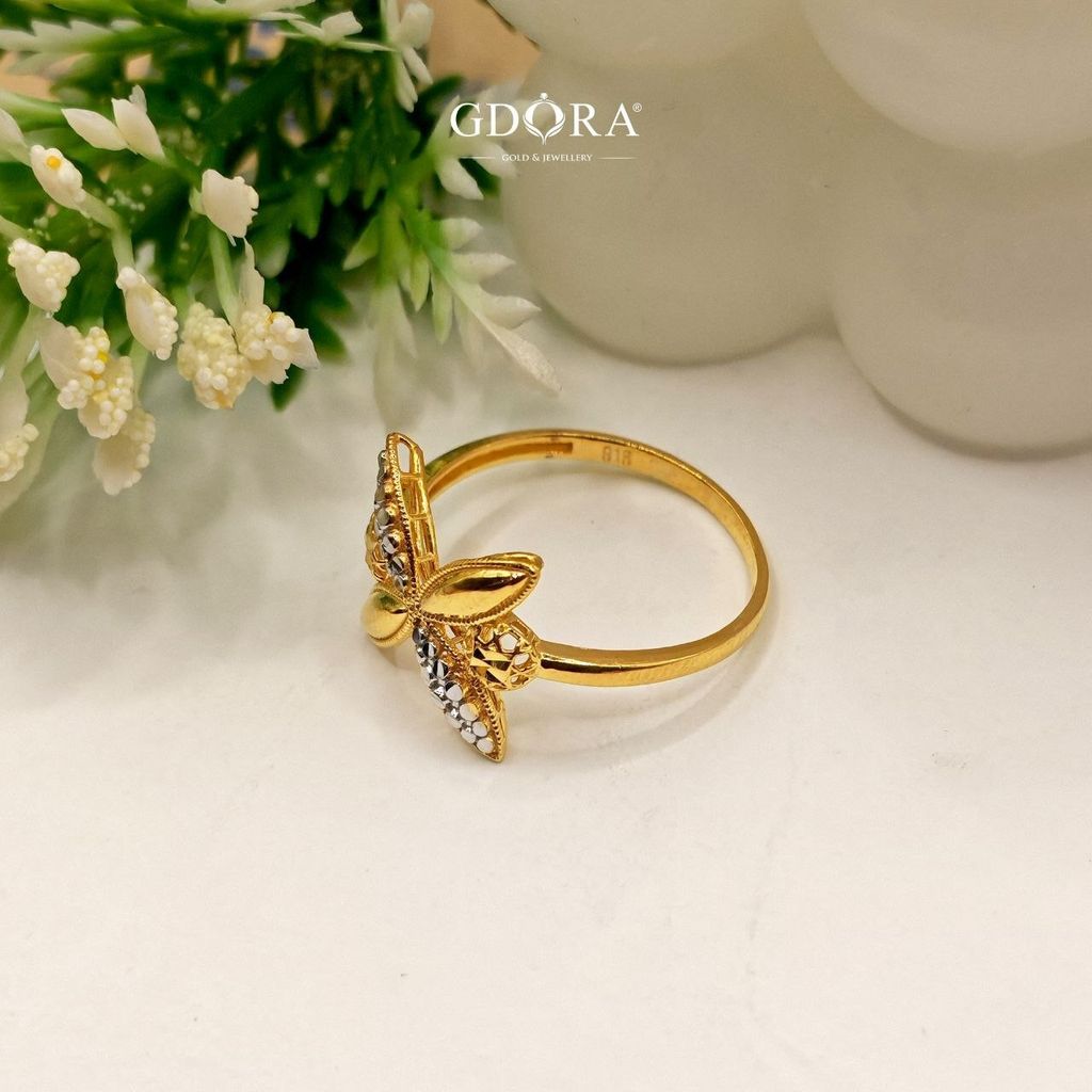 photo_6246968531639536930_y