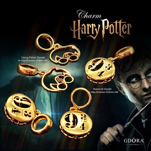 Charm Harry Potter