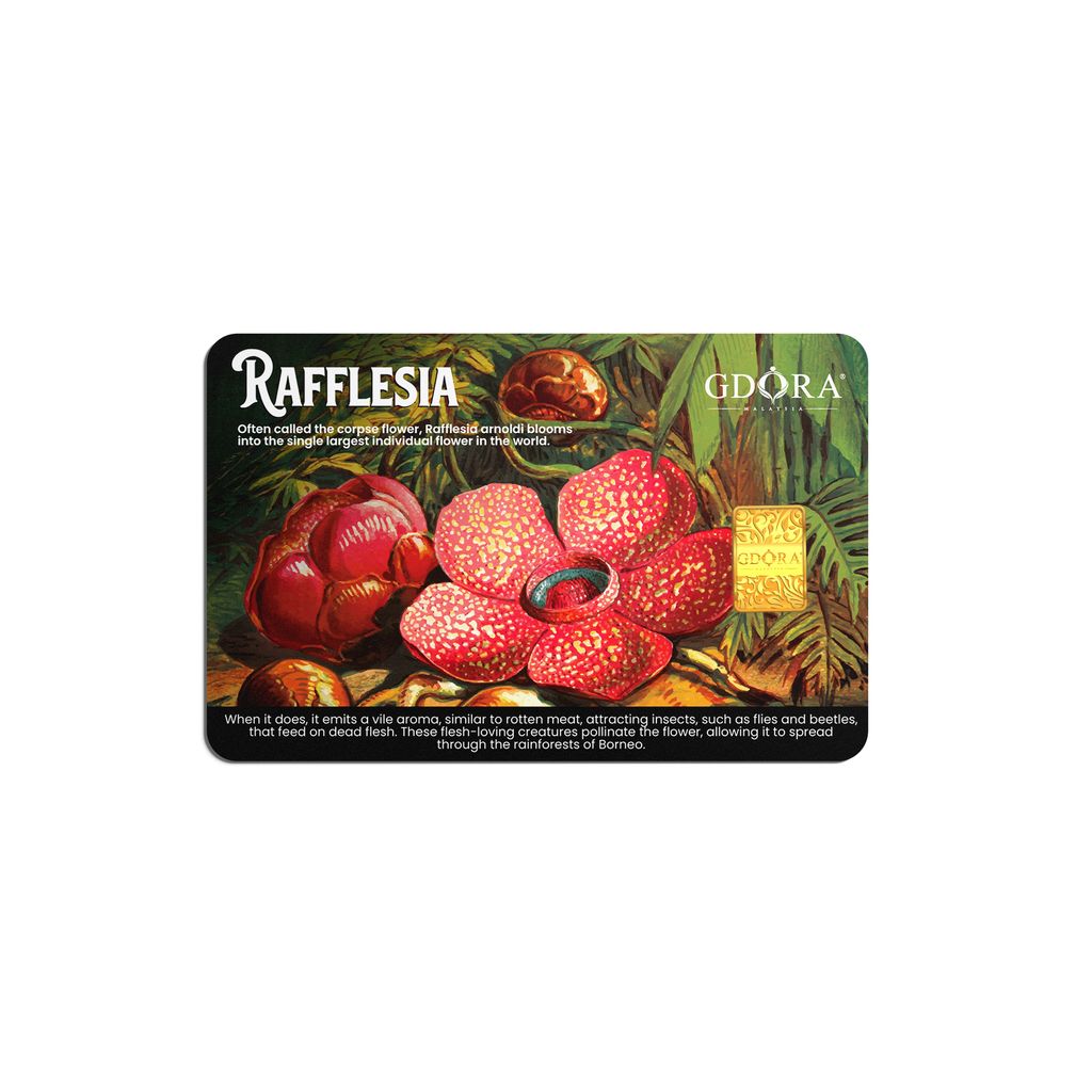 RAFFLESIA_front
