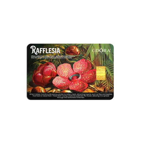 RAFFLESIA_front