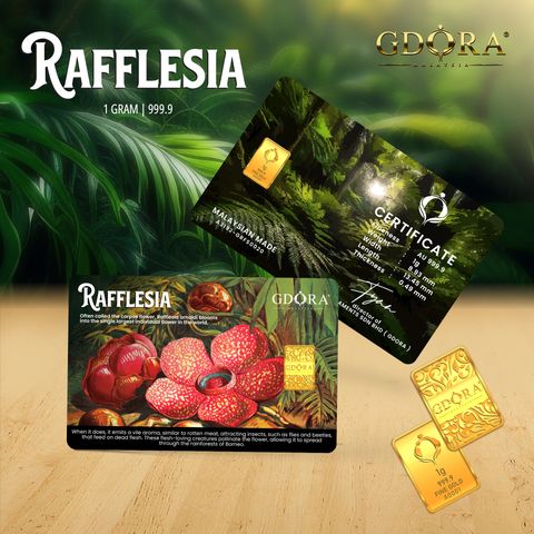 RAFFLESIA_MOCKUP