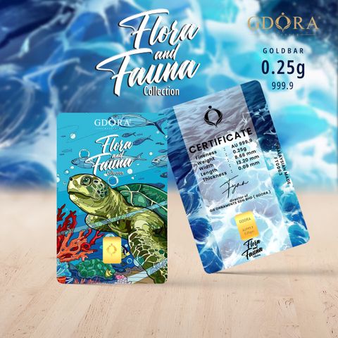 mockup_turtle_mockup 0.25g_petak (2)