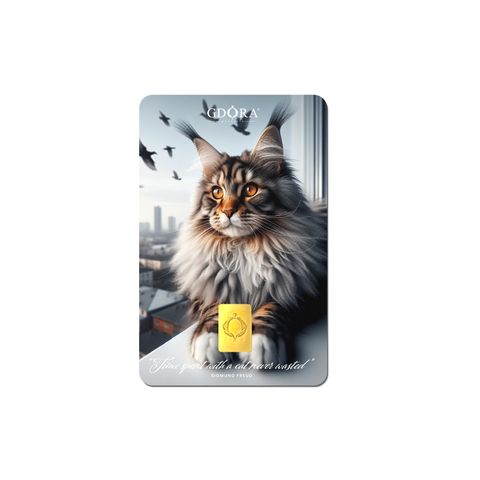MOCKUP_Front_Mainecoon_GB 0.25g_Petak
