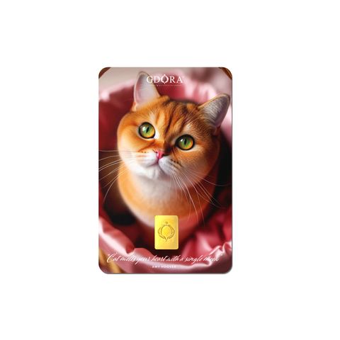 MOCKUP_Front_GBSH_GB 0.25g_Petak