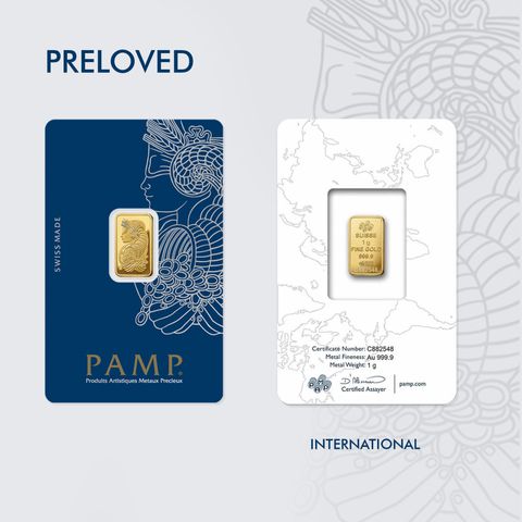 PAMP 1g mockup
