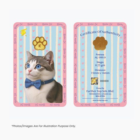 Cat-0.25g-01-1536x1536