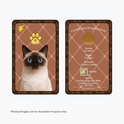 Cat-0.25g-05-1536x1536