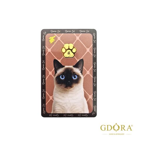 cat2_Front