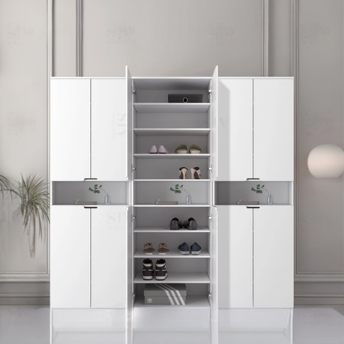 Shoe Organizer Cabinet