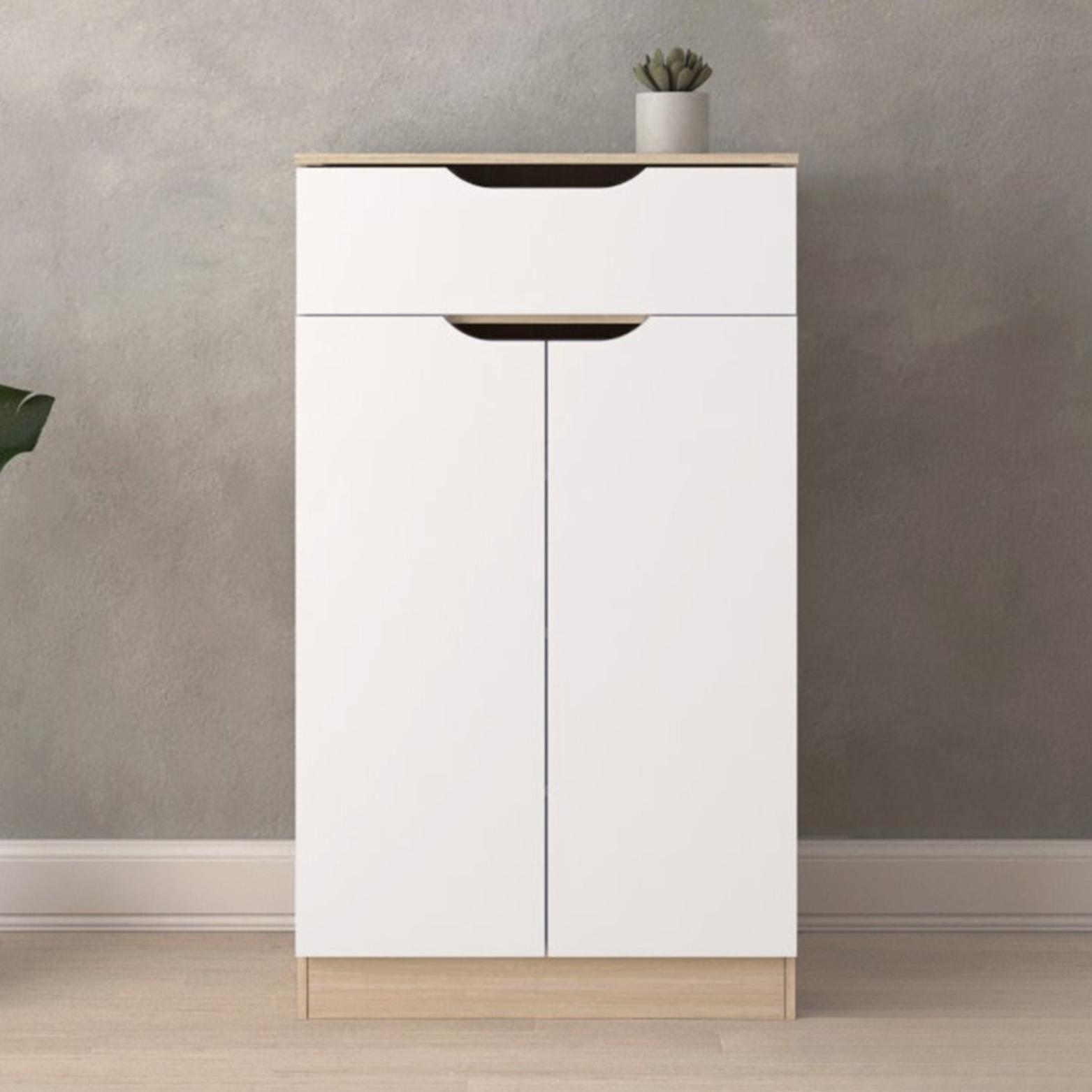 _Shoe Cabinet Modernist Design