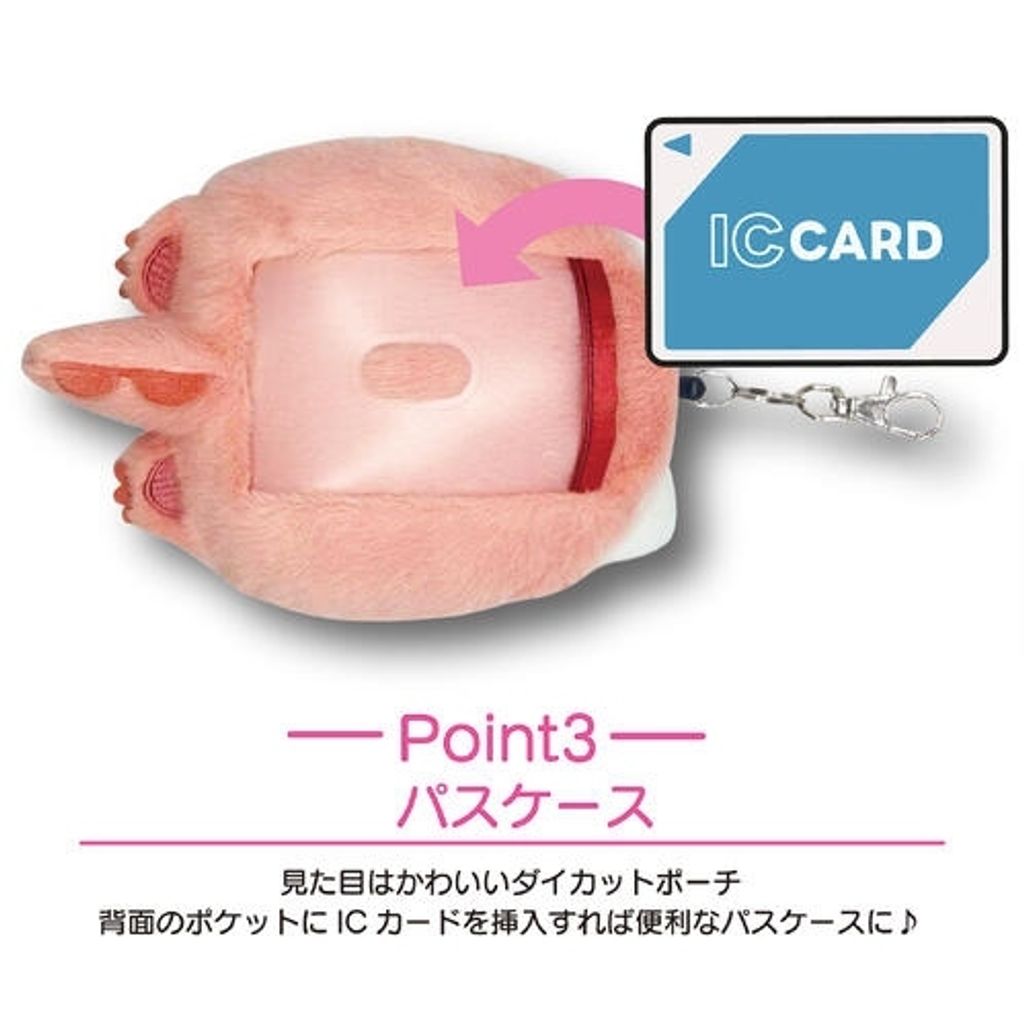 sr-passcase2607-ex3