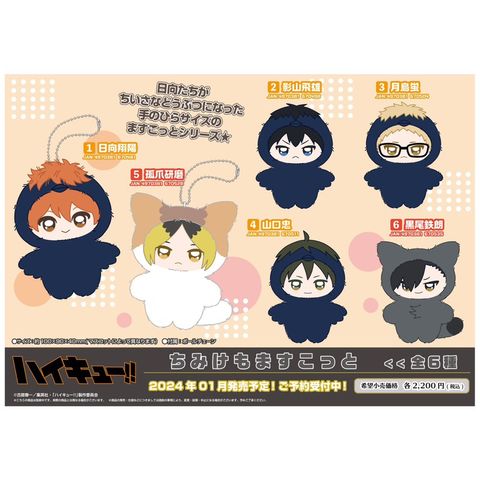 tw-11134207-7r98z-ls78fbocym6q70