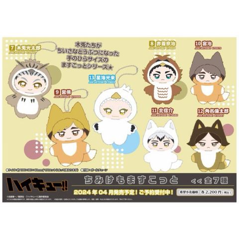 tw-11134207-7r98p-lu7o7arjhe61ea