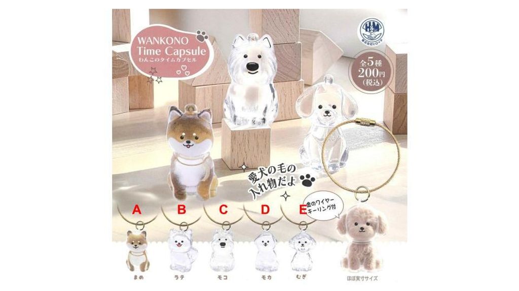 無題のプレゼンテーション (2)