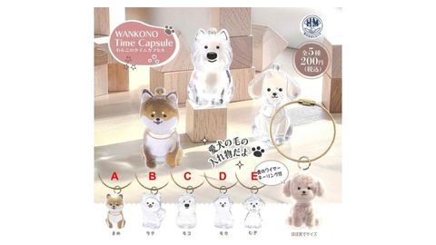 無題のプレゼンテーション (2)