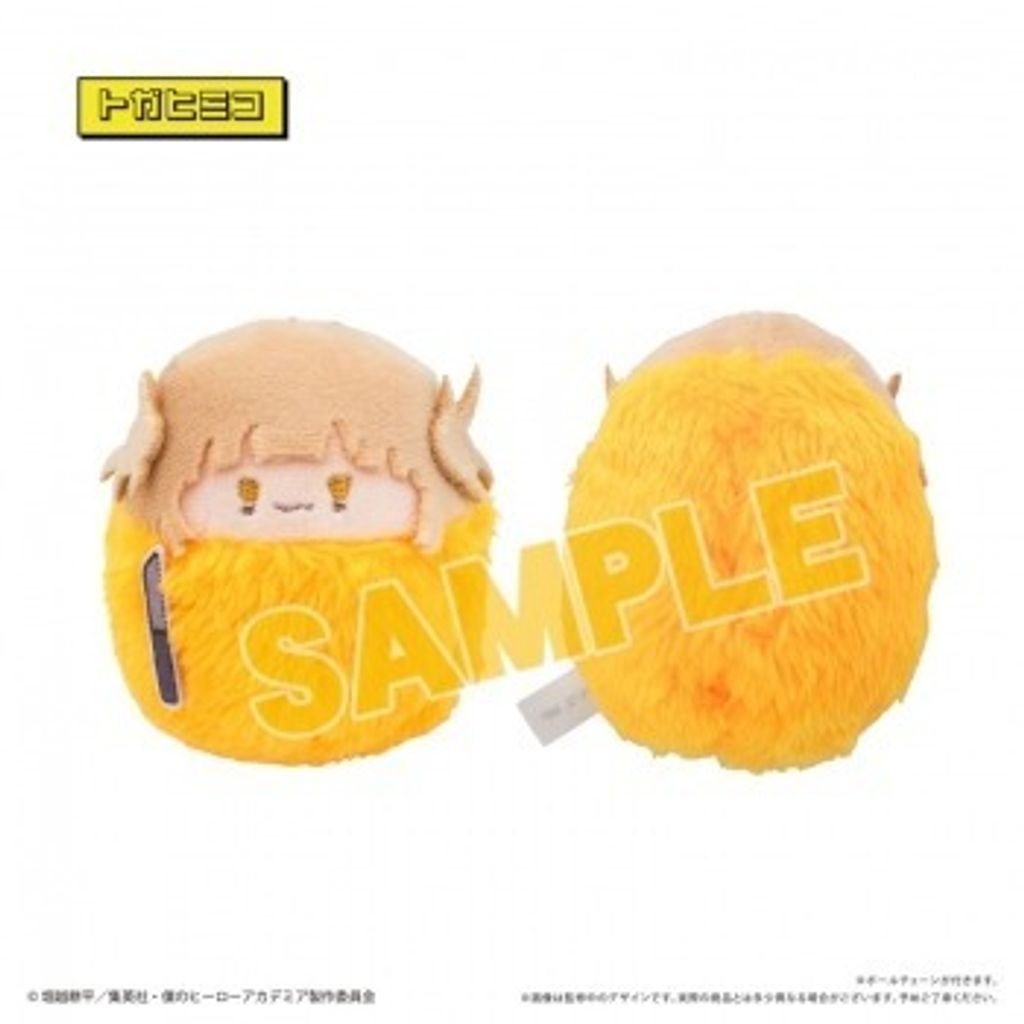 resize_image.php (41)