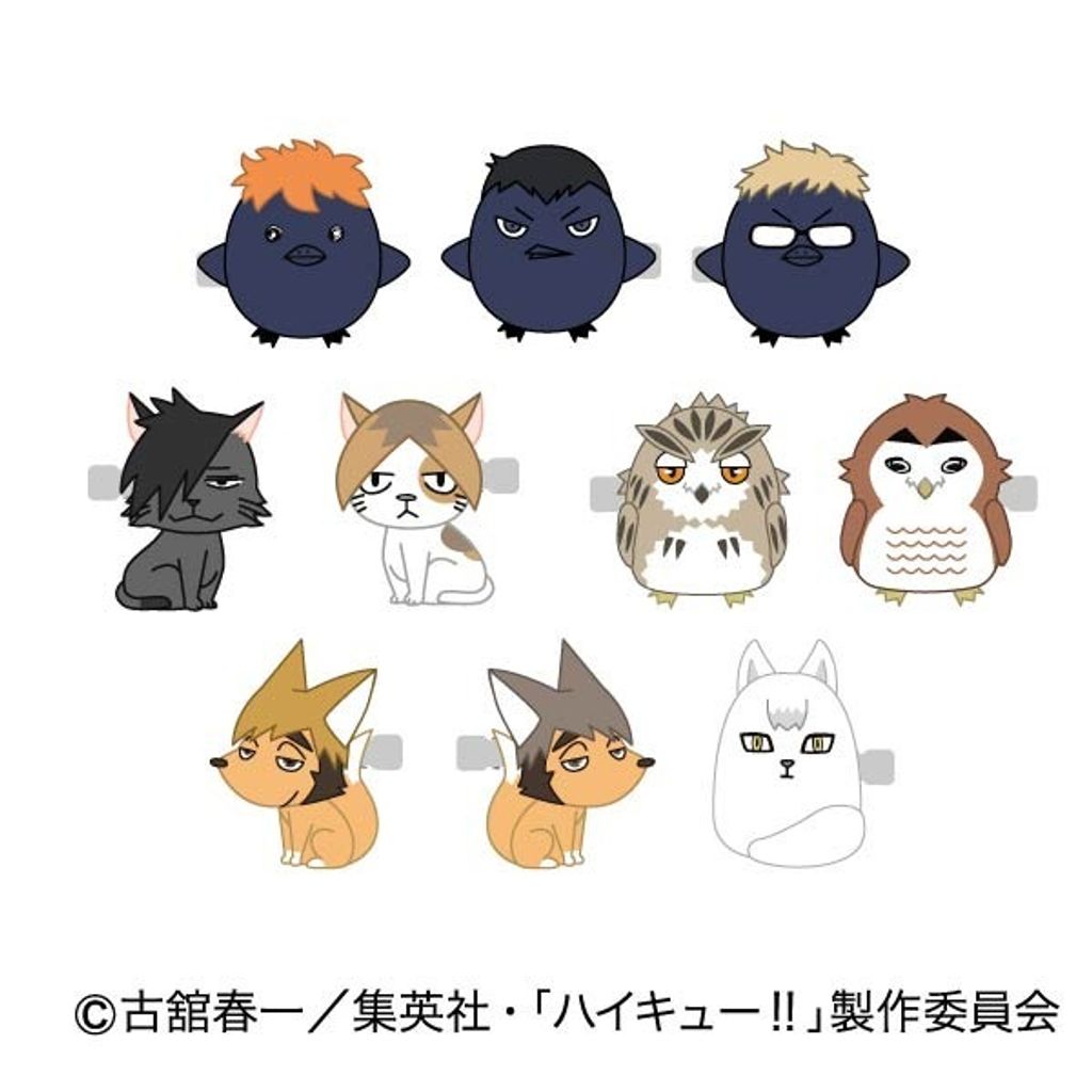 resize_image.php - 2026-02-20T200212.339