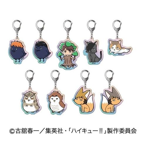 resize_image.php - 2026-02-20T200626.420