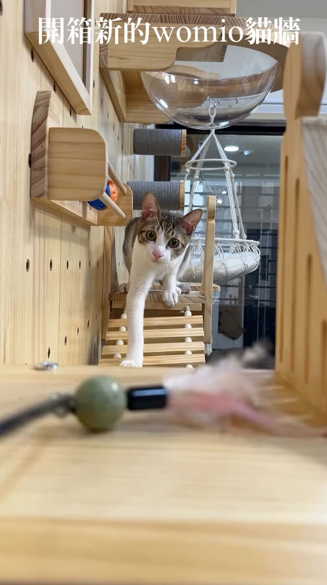 家長示範截圖