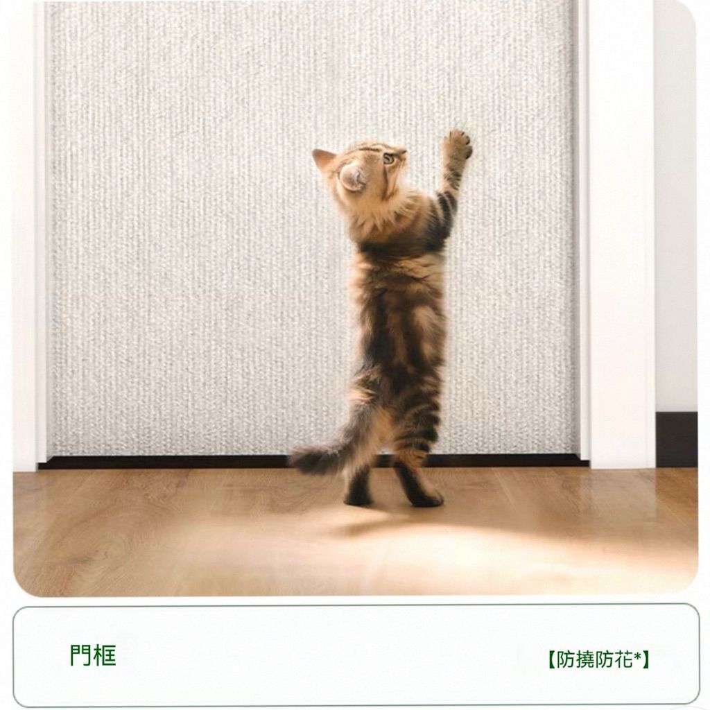 tw-11134207-820lb-mnvpnmukwf0o30
